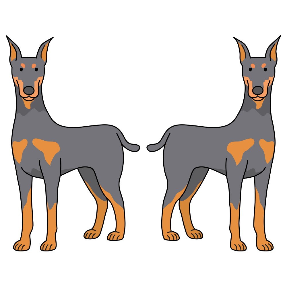 Doberman Pinscher Dog Decal Dog Lover Decor Vinyl Sticker