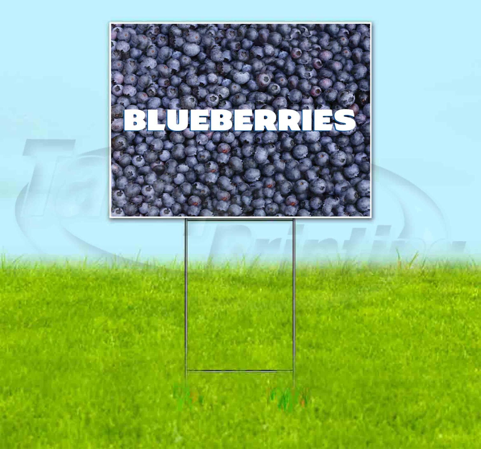 BLUEBERRIES 18×24 Yard Sign Corrugated Plastic Bandit Lawn Business USA FRUIT