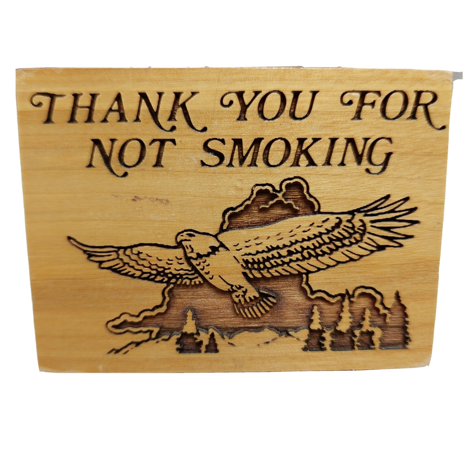 “Thank you for not Smoking” Wooden Desk Sign 2 12″ x 3″ Eagle Mountain