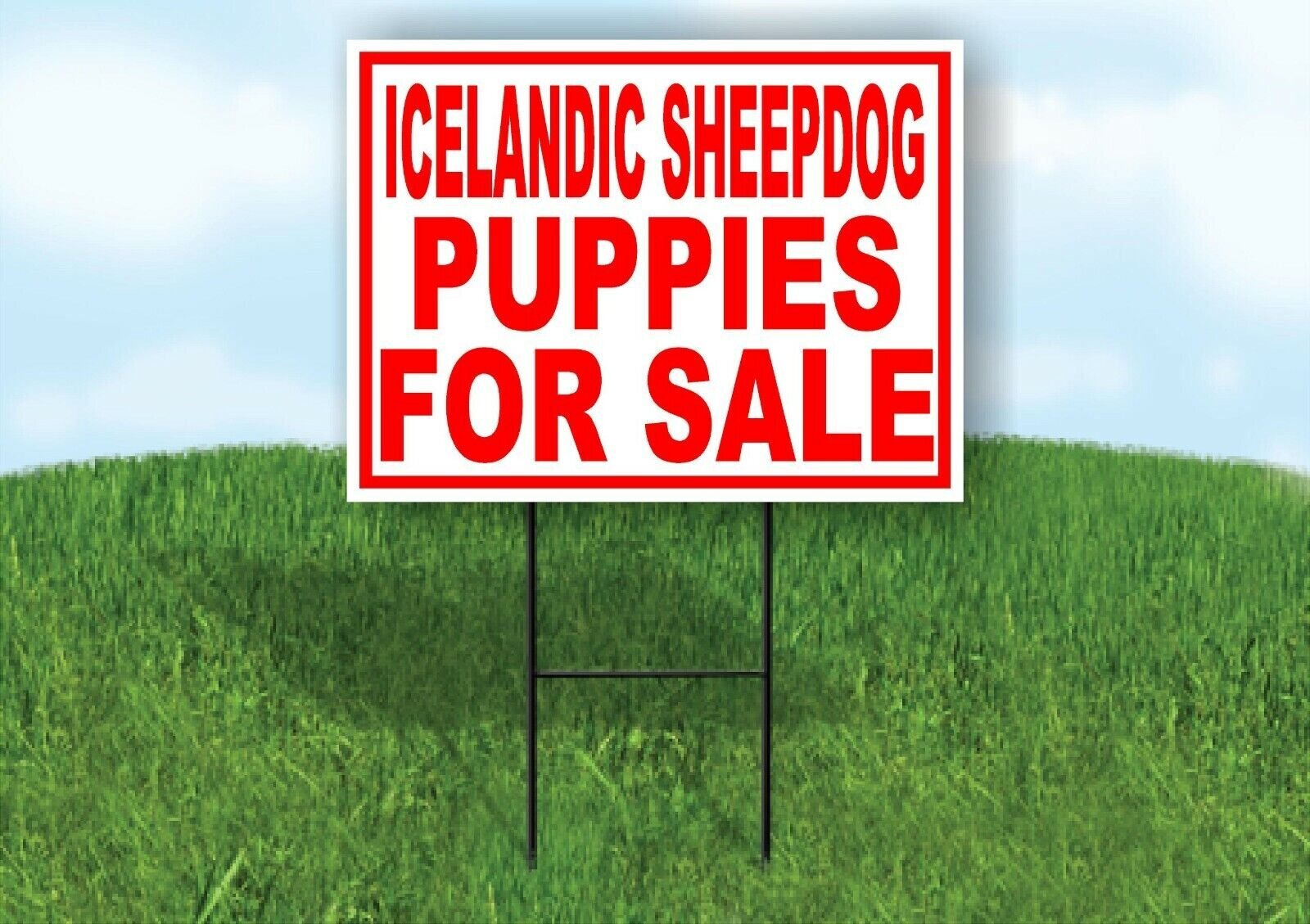 Icelandic Sheepdog PUPPIES FOR SALE RED Yard Sign Road with Stand LAWN SIGN