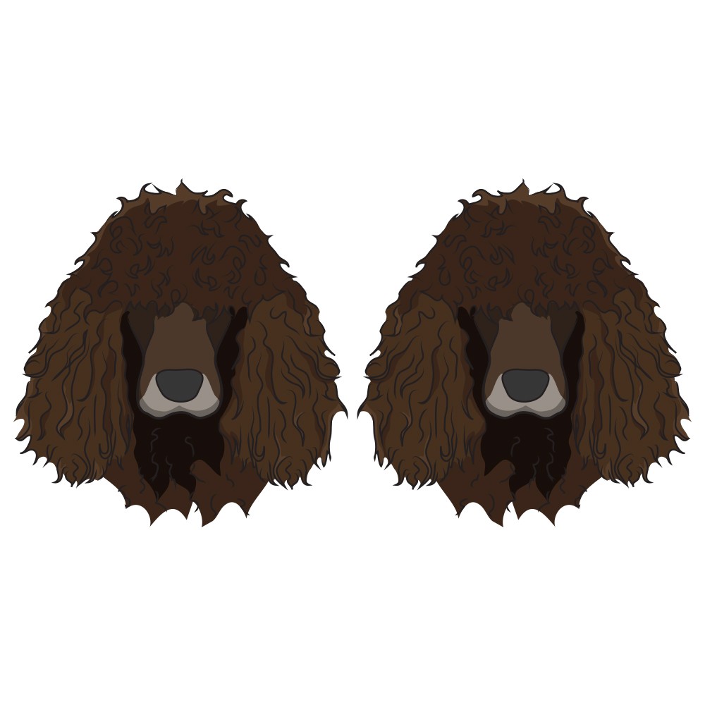Irish Water Spaniel Dog Decal Dog Lover Decor Vinyl Sticker