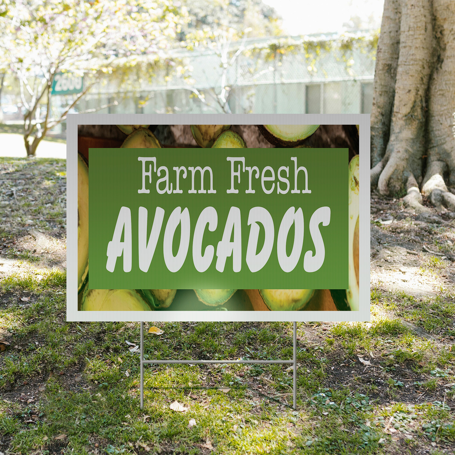 Farm Fresh Avocados Yard Sign Tropical Fruits, Fresh Produce, Farmer�s Markets