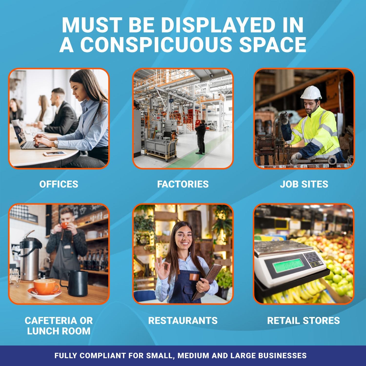 2025 Massachusetts State and Federal Labor Law Poster – OSHA Workplace Compli…