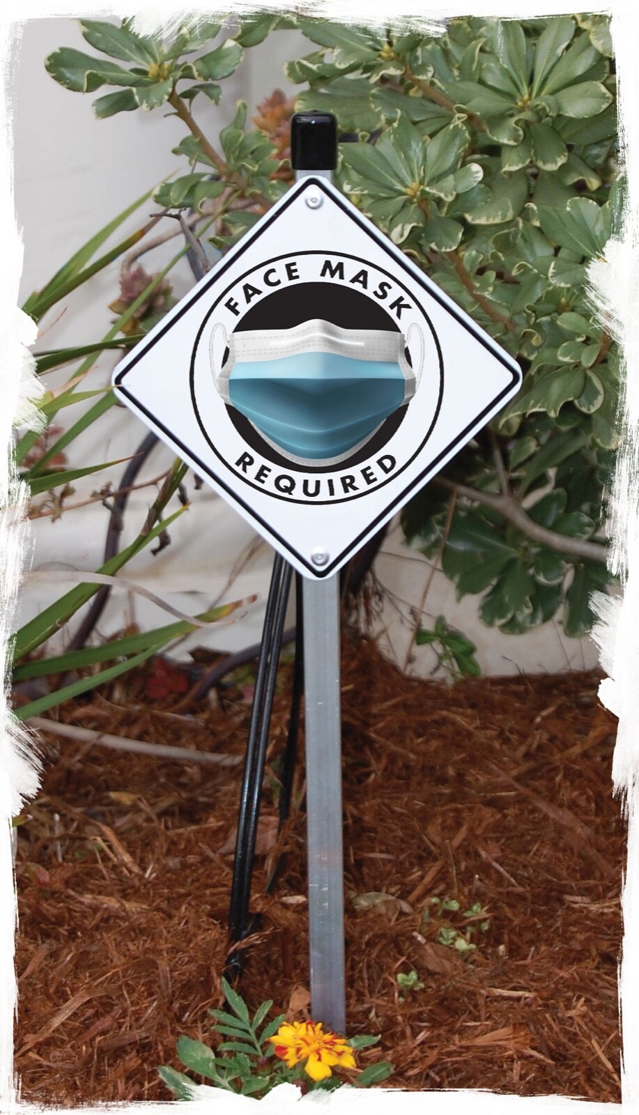Face Mask Protection Required Exterior PPE Aluminum Sign or Vinyl Sticker