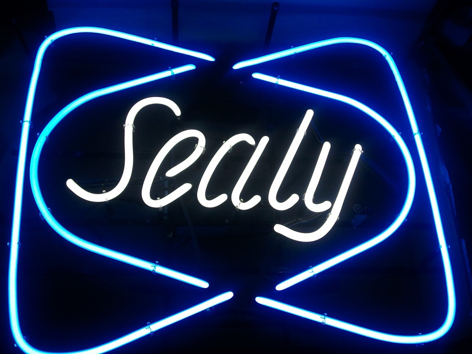 SEALY Neon Light 25″ by 22″
