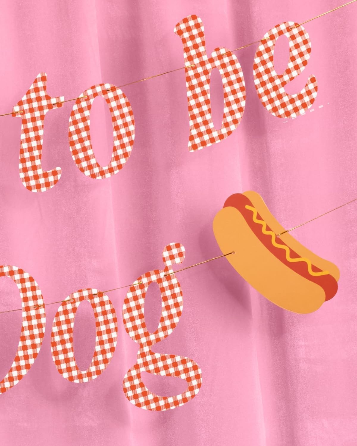 Lightweight Hot Dog Party Banner – Perfect for Cookouts & July 4th Celebrations