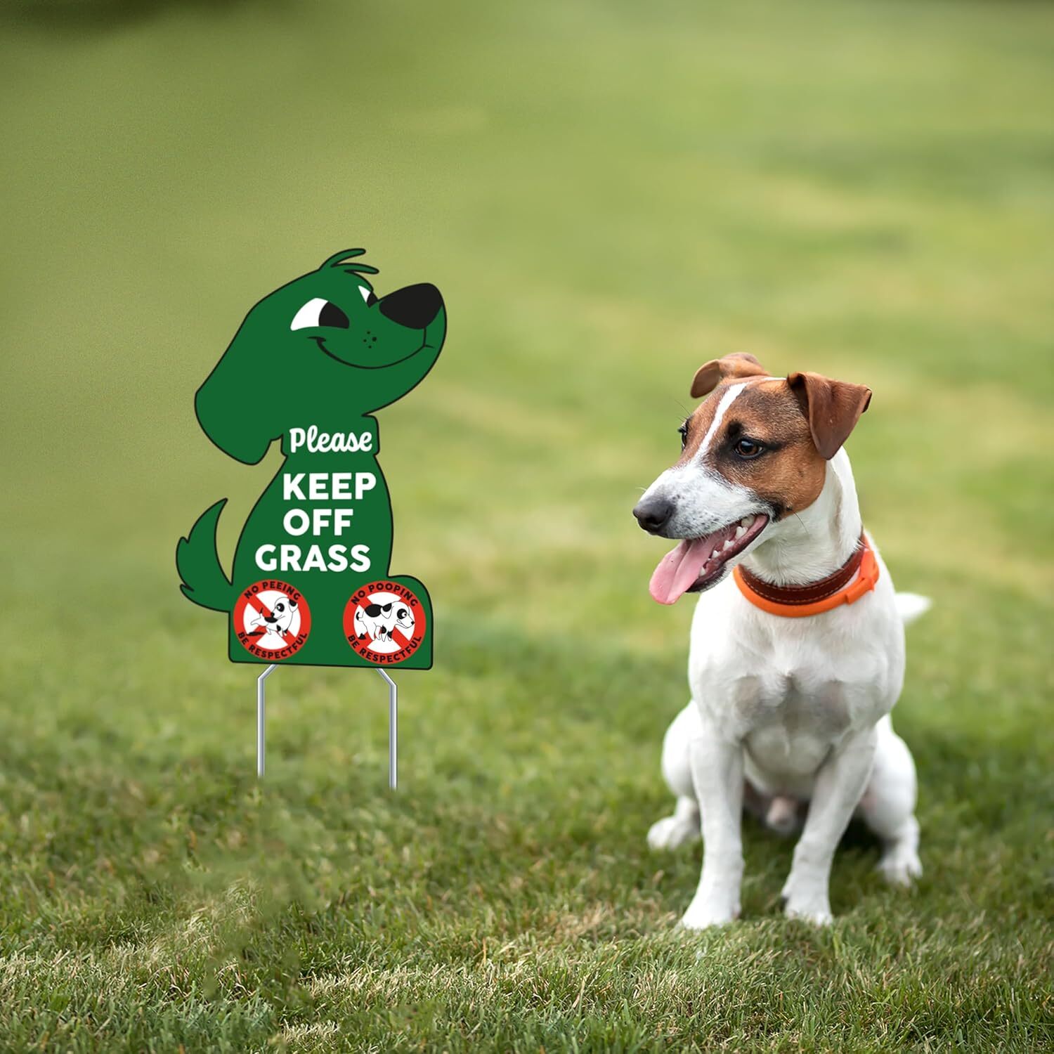 2 PC Keep off Grass Sign – 8X12 Double Sided Coroplast No Peeing Dog Signs for Y