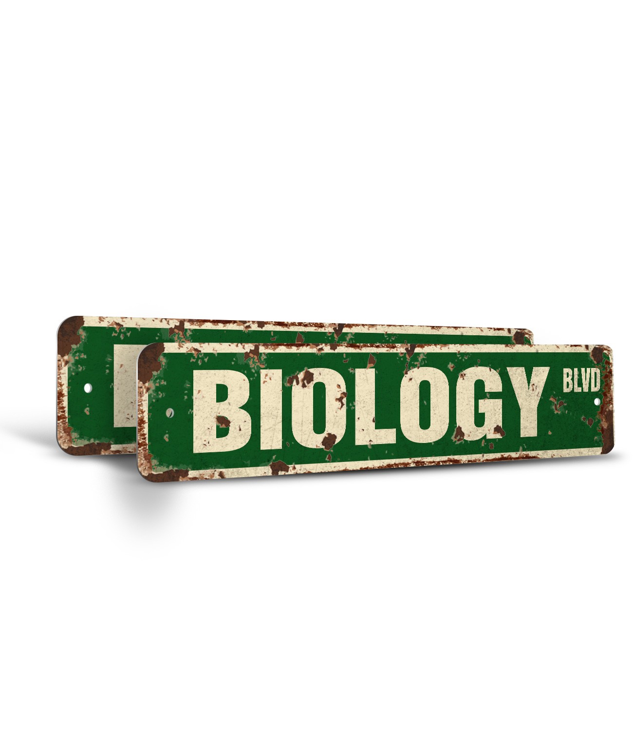BIOLOGY Vintage Style Street Sign teacher professor science college biologist