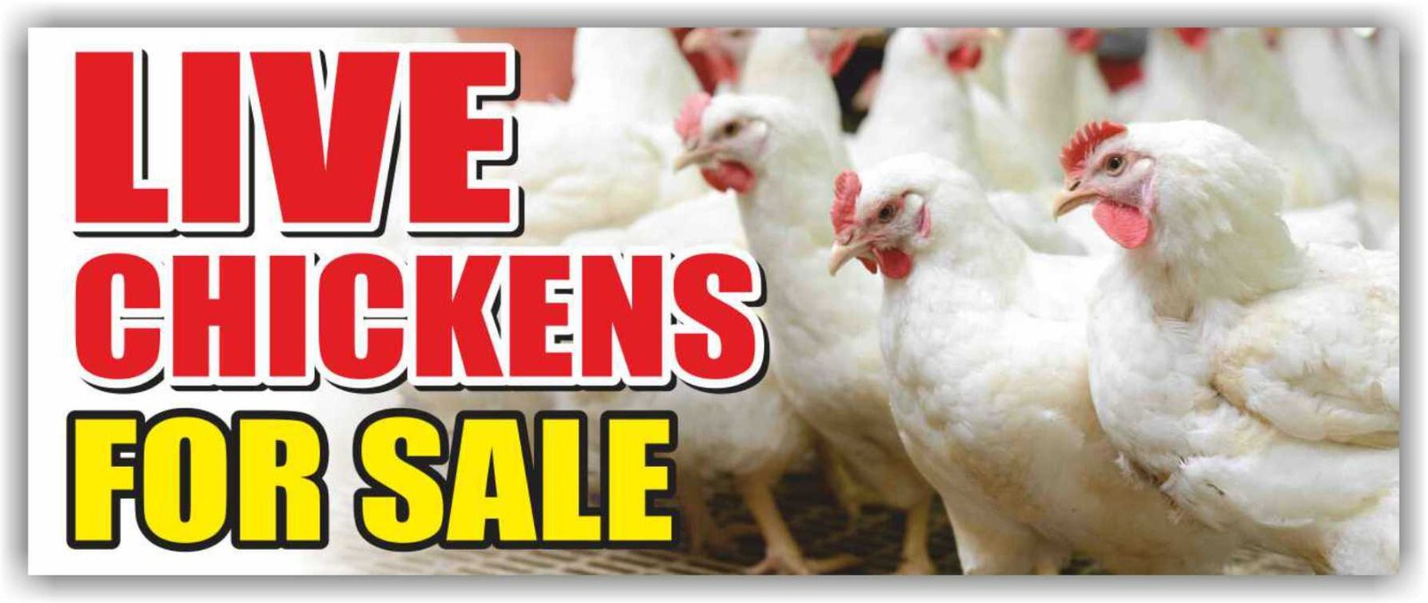 LIVE CHICKENS FOR SALE Advertising Banner Vinyl Mesh Sign Flag Farmers Eggs Farm