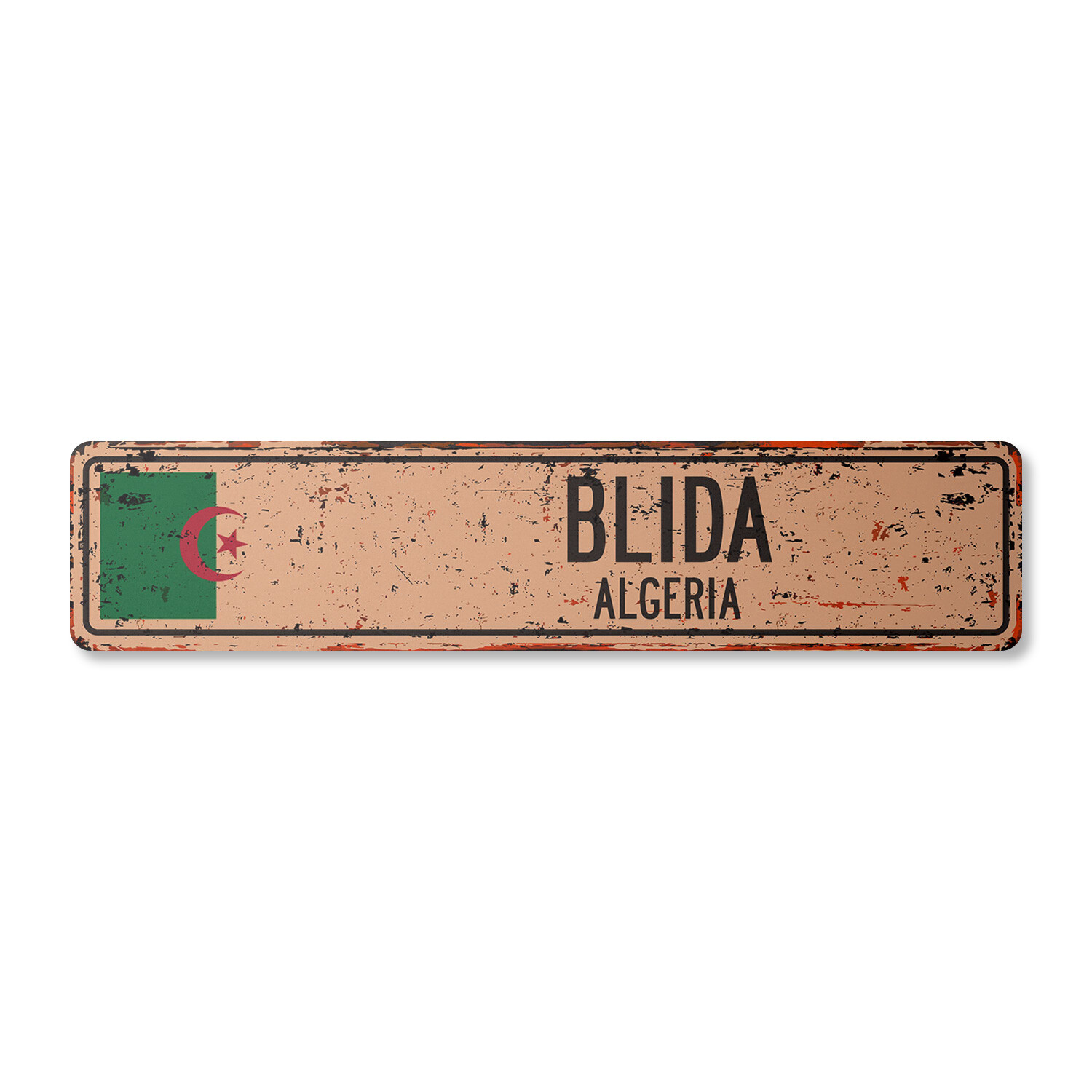 BLIDA ALGERIA Vintage Street Sign Algerian flag city country road wall rustic