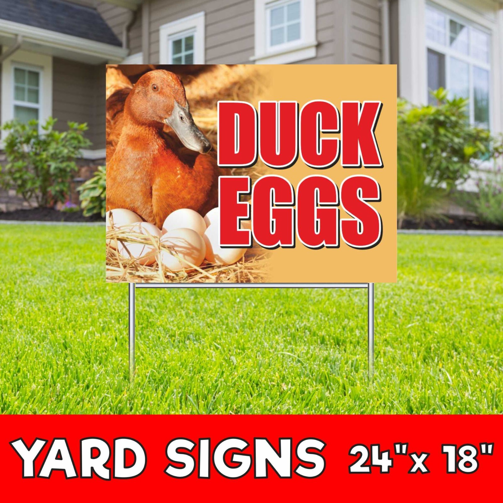 DUCK EGGS Yard Sign Corrugate Plastic with H-Stakes Lawn, Organic farmer fresh
