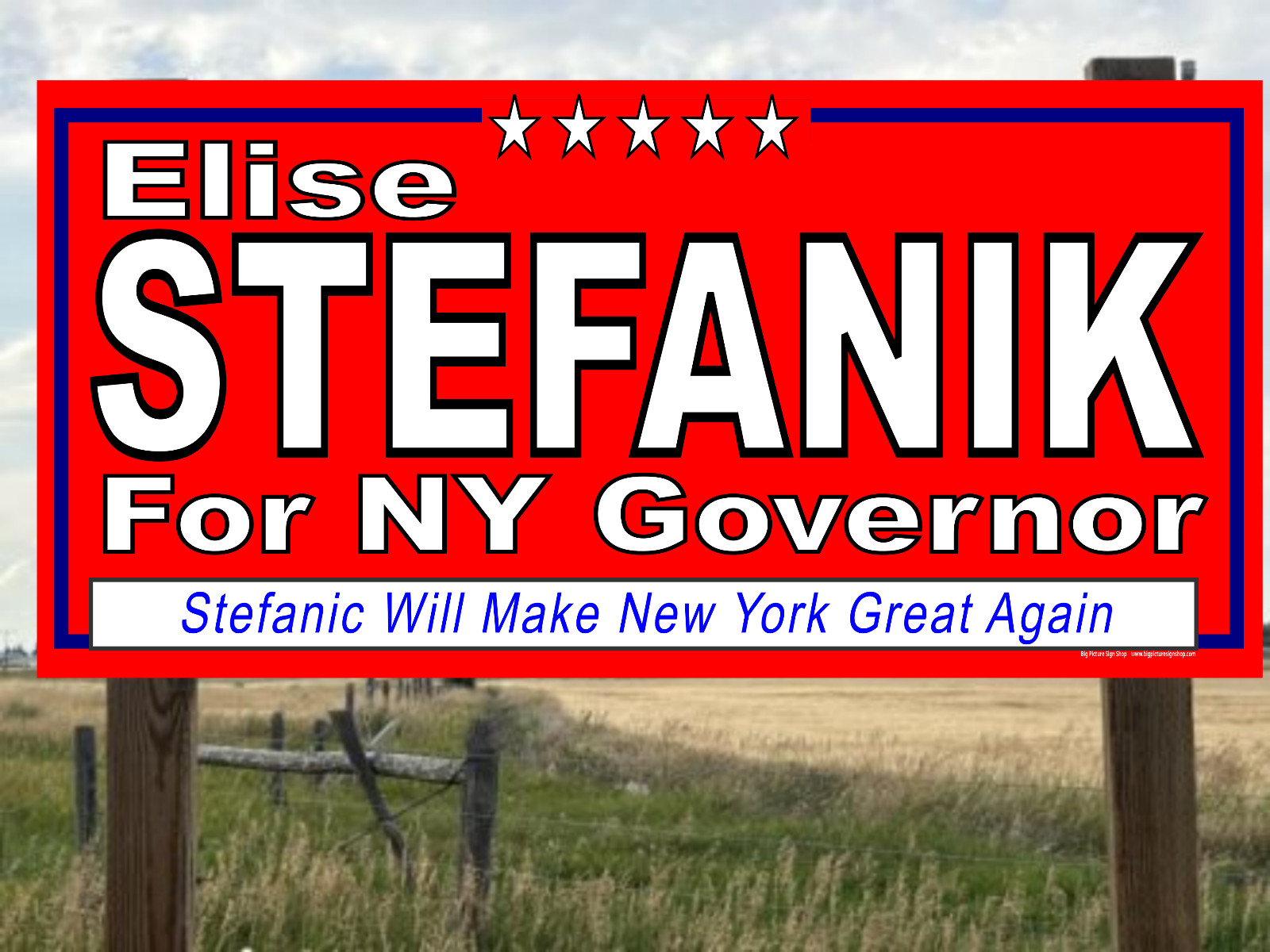 Elise STEFANIK NY GOVERNOR -Vinyl Banners-3 Choices Rd Wh Blu -Fast Ship-USA -35