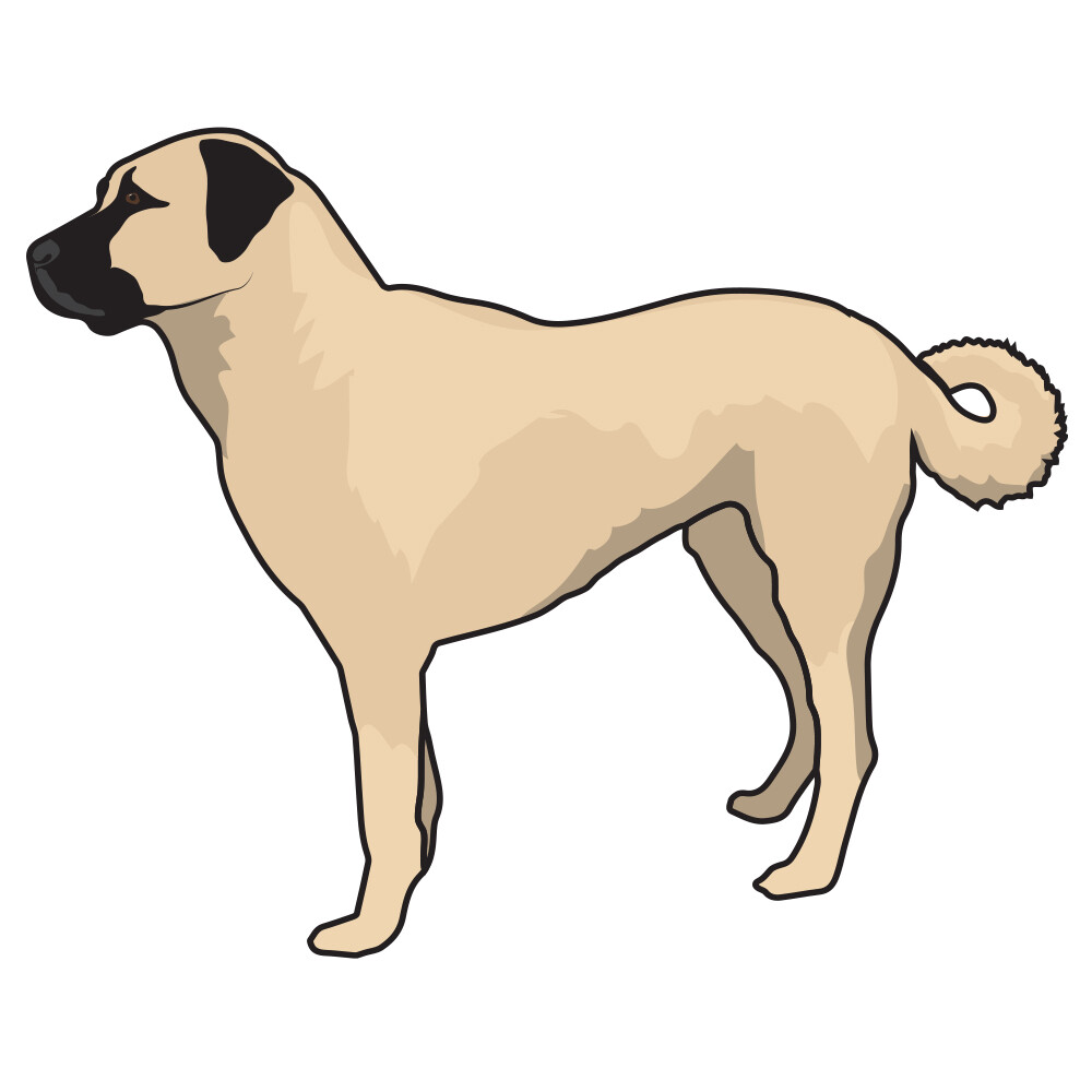 Anatolian Shepherd Dog Decal Dog Lover Decor Vinyl Sticker