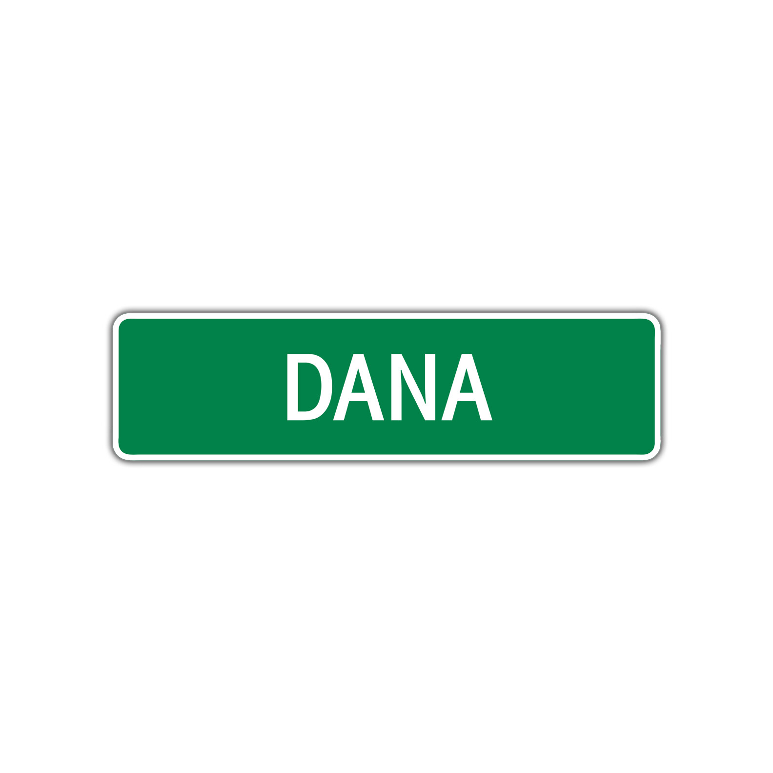 Dana Girls Name Letter Printed Label Wall Art Decor Novelty Aluminum Metal Sign