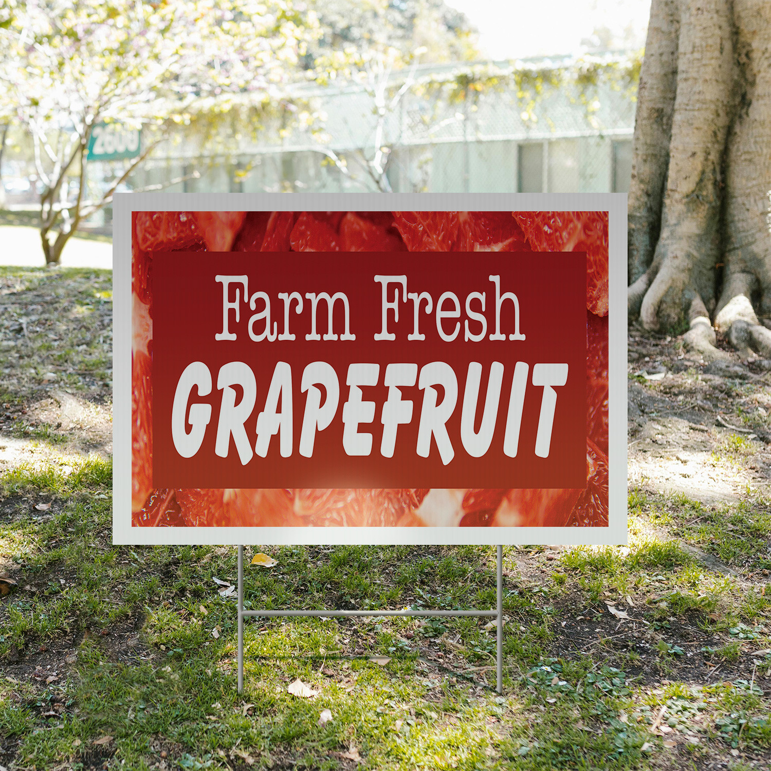 Farm Fresh Grapefruit Yard Sign Fresh Citrus, Healthy Choices, Locally Grown