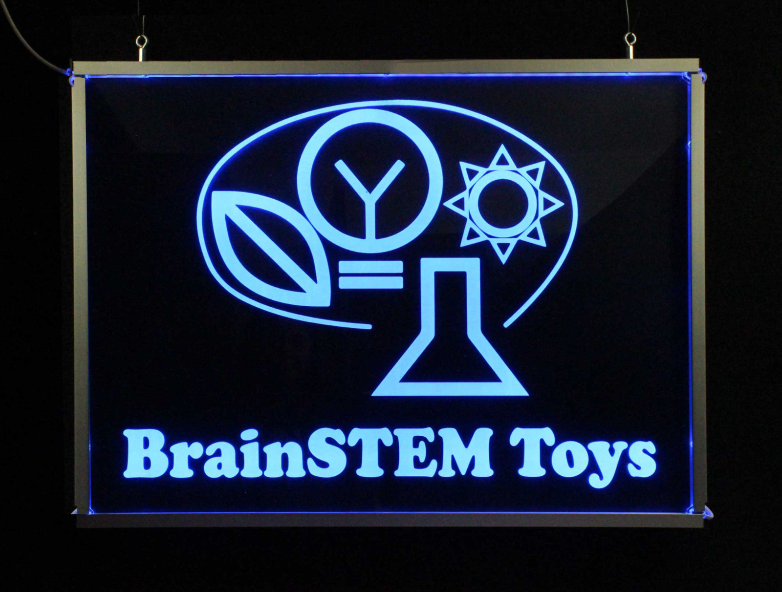 Custom Business Sign, LED Neon Sign