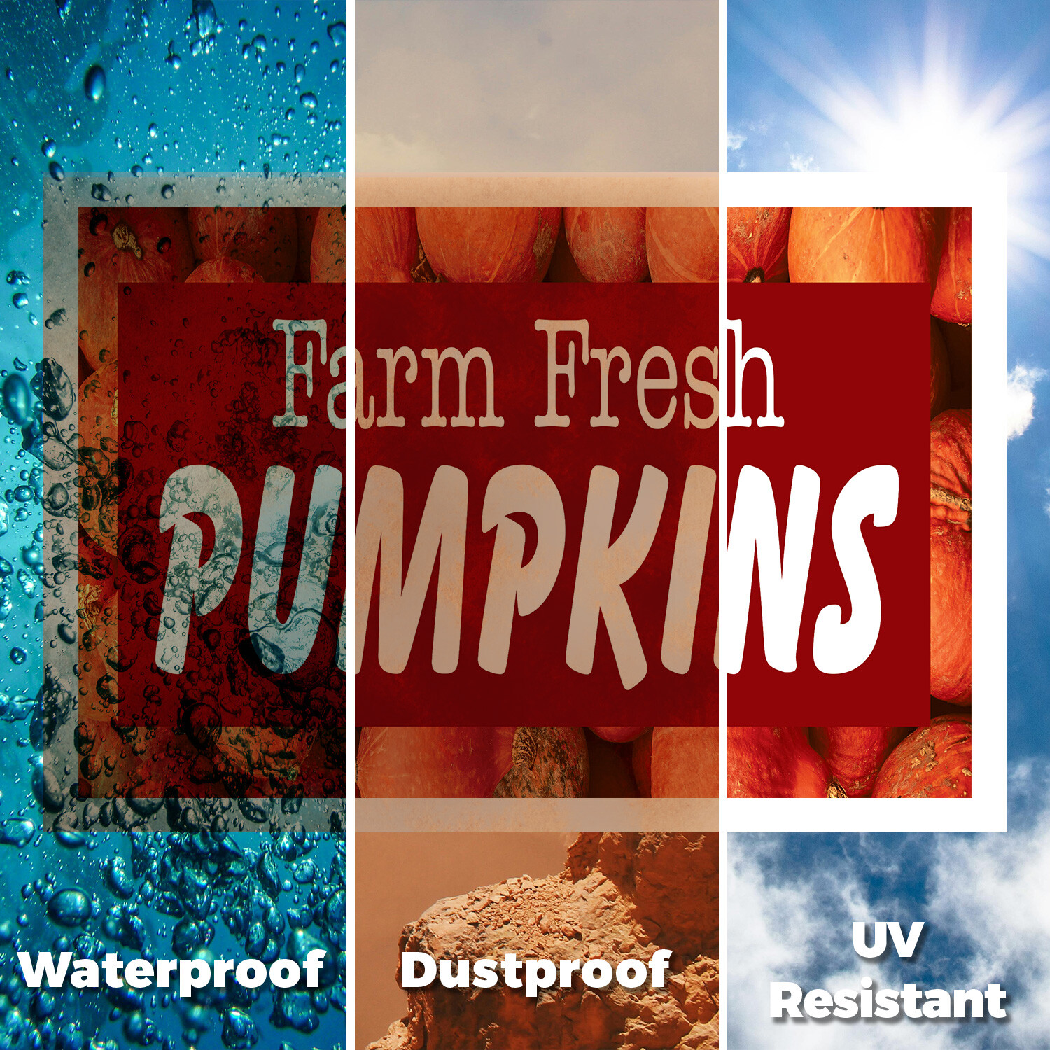 Farm Fresh Pumpkins Yard Sign Seasonal Favorites, Local Farms, Freshly Picked