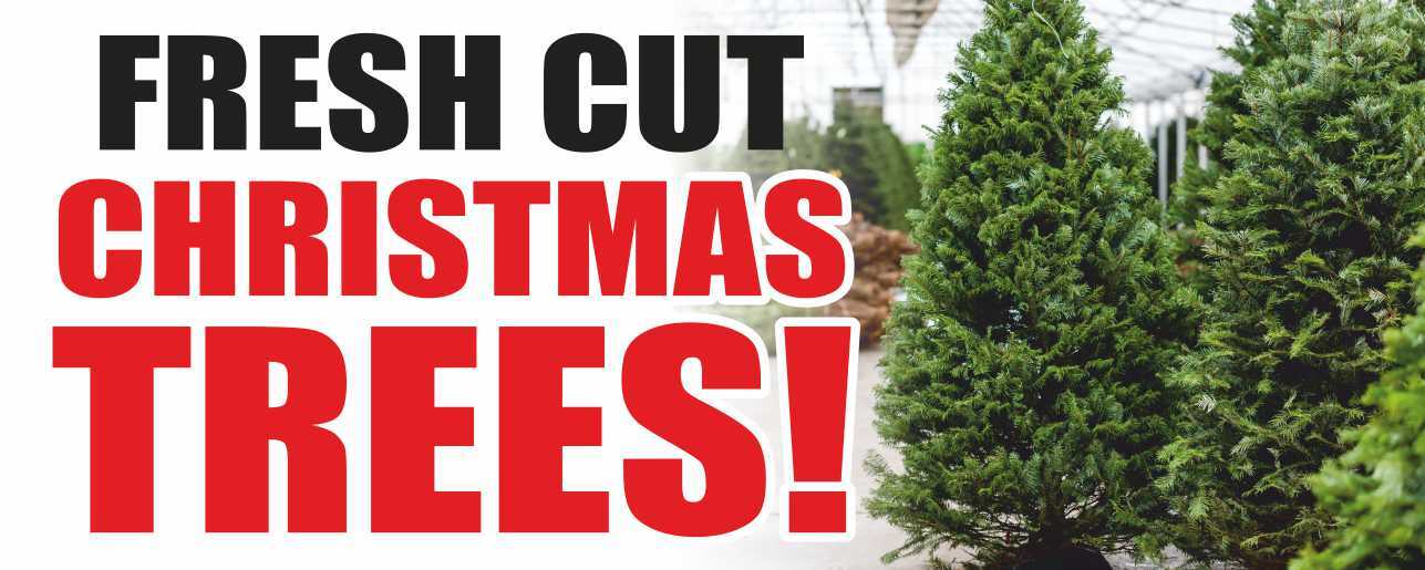 FRESH CUT CHRISTMAS TREES Advertising Banner Vinyl Mesh Sign Holiday Sales Xmas