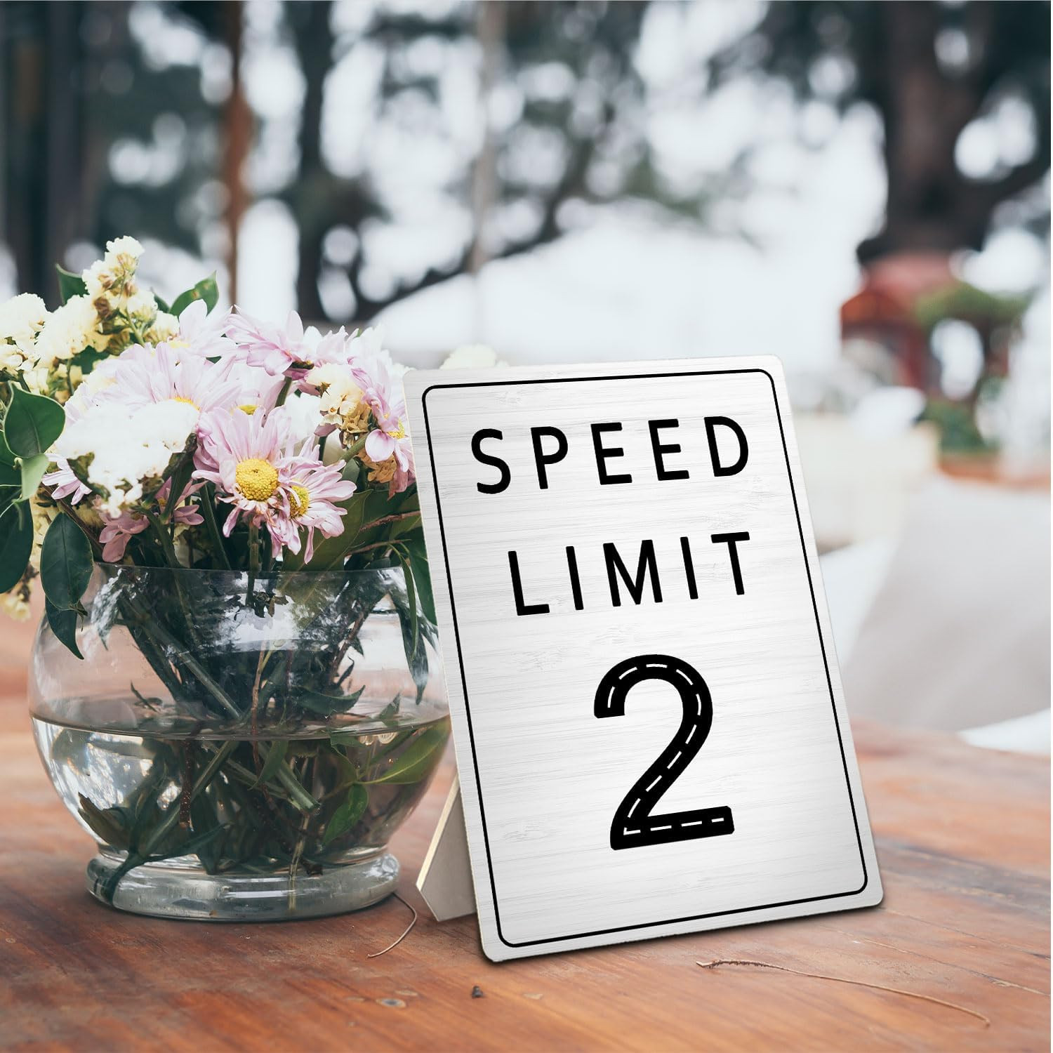 Speed Limit Sign, Racing Speed Limit 2 Mph Wooden Stand Sign 5X7 Inch, Race Car