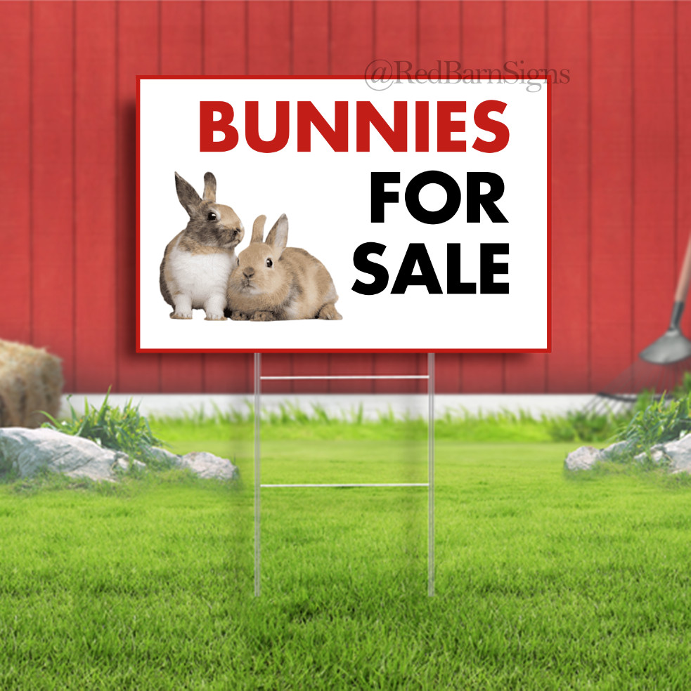BUNNIES FOR SALE Indoor Outdoor Yard Sign with metal stakes