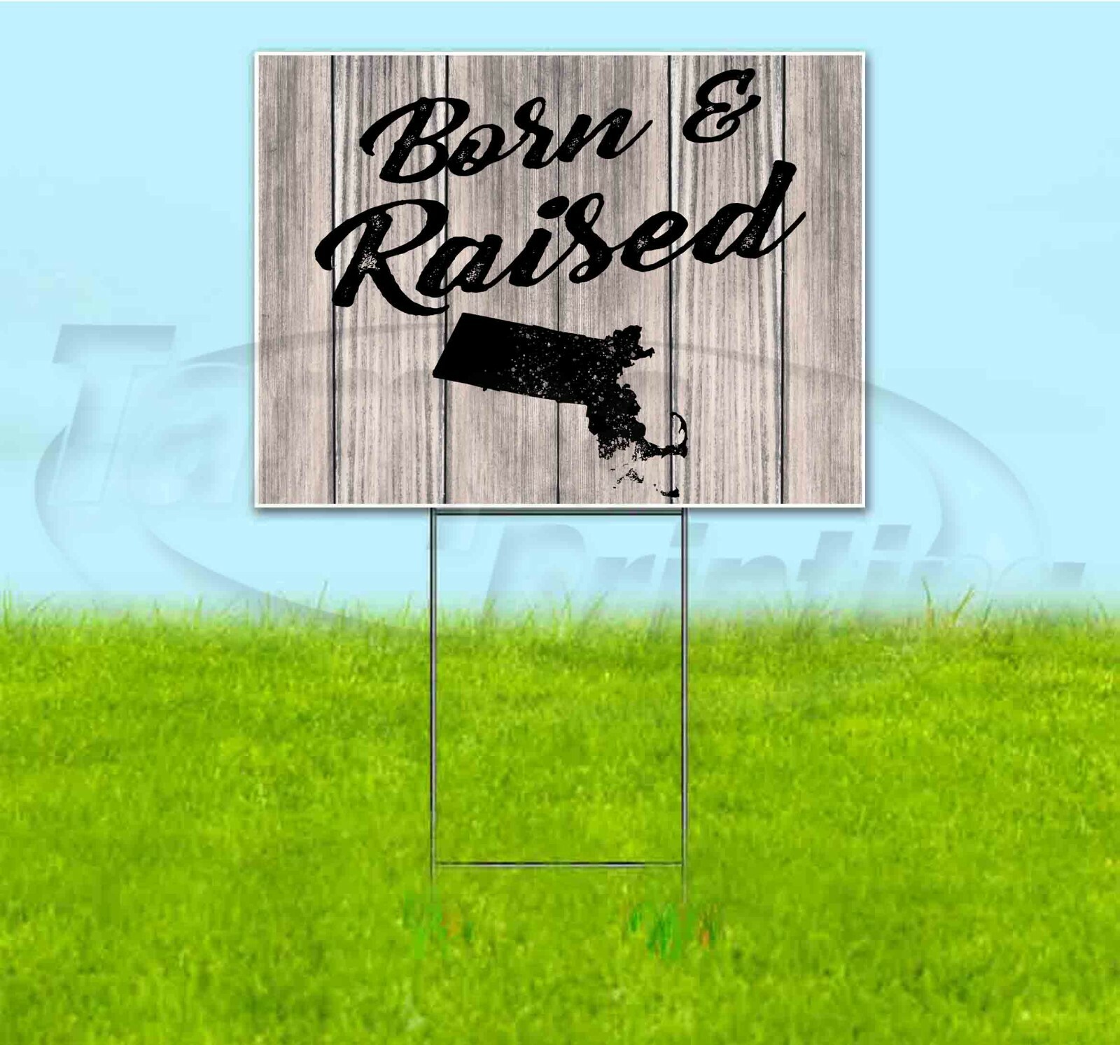 BORN & RAISED MASSACHUSETTS 18×24 Yard Sign WITH STAKE Corrugated Bandit Lawn