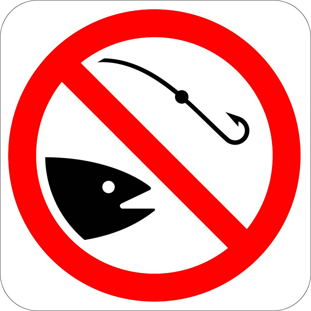 Square Metal Sign Multiple Sizes No Fishing Recreation Parks Forestry Camping