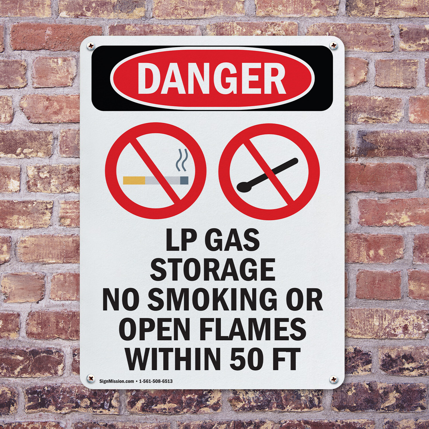(2 Pack) LP Gas Storage No Smoking OSHA Danger Sign Decal Metal Plastic