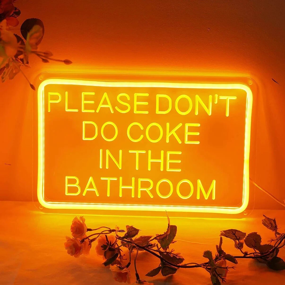 DONT COKE IN THE BATHROOM LED sign (30x19cm) USB