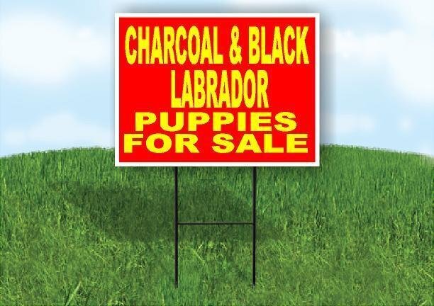 CHARCOAL & BLACK Labrador PUPPIES FOR SALE YELLOW RED Yard Lawn Road Sign+Stand