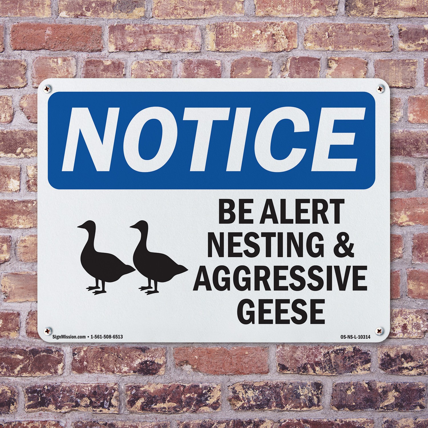 Be Alert Nesting And Aggressive Geese OSHA Notice Sign Or Decal – 5 or 10 Pack