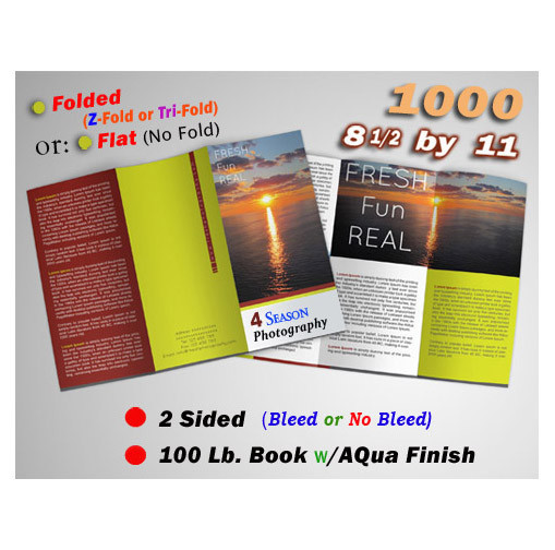 1000 brochures [Fold or Flat] 8 1/2 x 11* 2 Side *Gloss 100 lb. book * w/Design