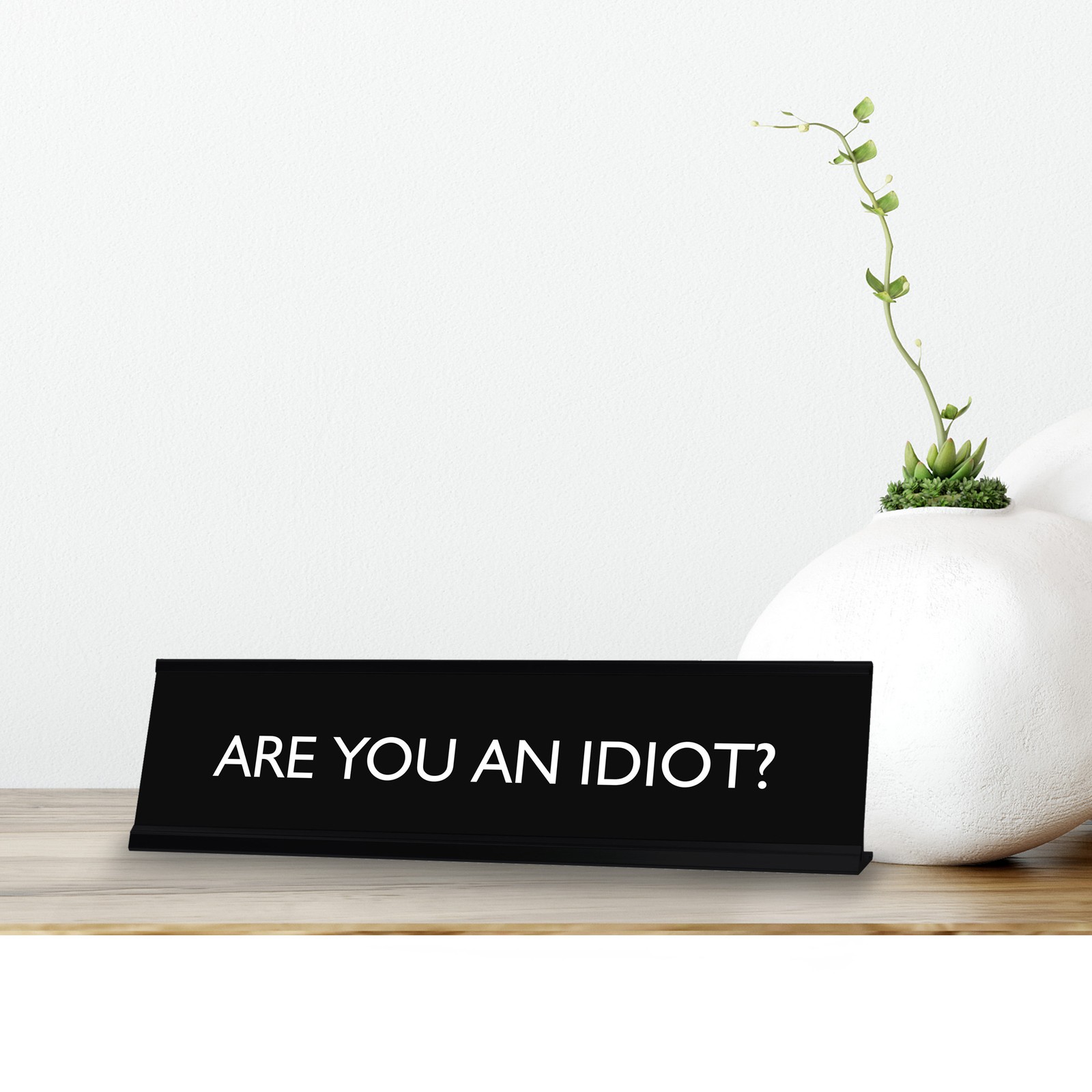 Signs By LITA ARE YOU AN IDIOT? Novelty Desk Sign