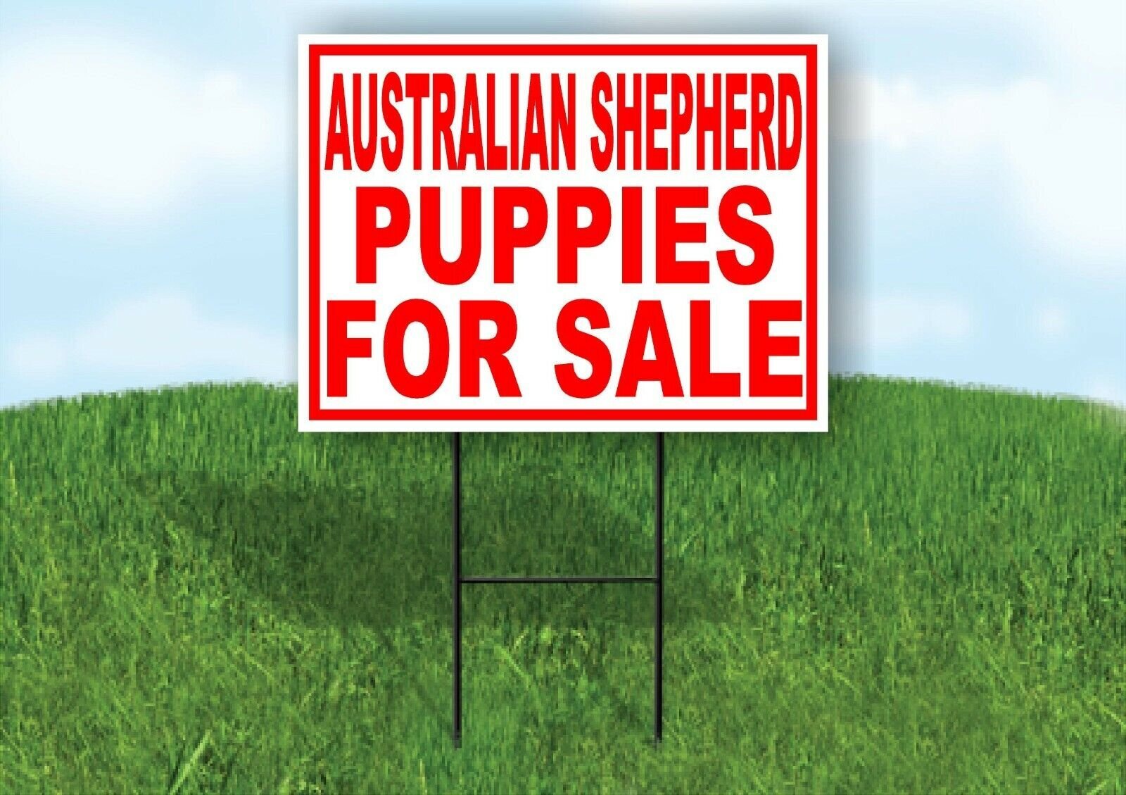 Australian Shepherd PUPPIES FOR SALE RED Yard Sign Road with Stand LAWN SIGN