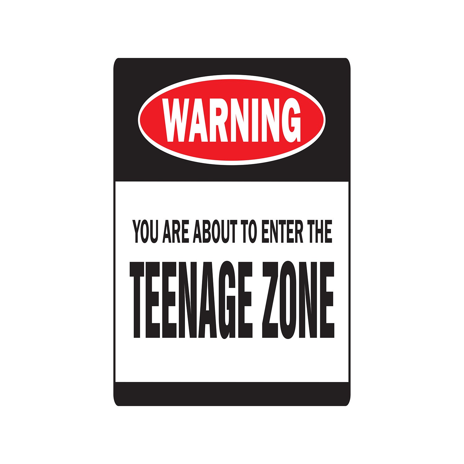 YOU ARE ABOUT TO ENTER THE TEENAGE ZONE Warning Sign Or Decals children kids