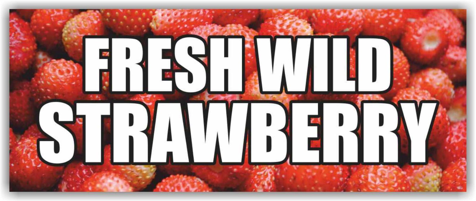 Fresh Wild Strawberry Advertising Banner Vinyl Sign Berry Fruits Vegetables Farm