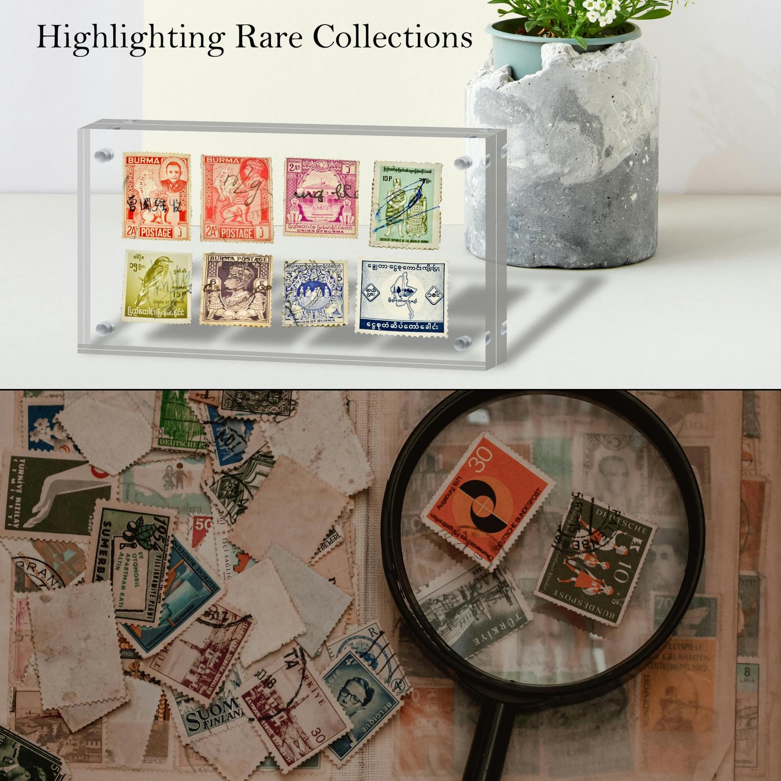 Dollar Bill Frame Display Acrylic Holder 3.9X7.8Inch 1 Pcs