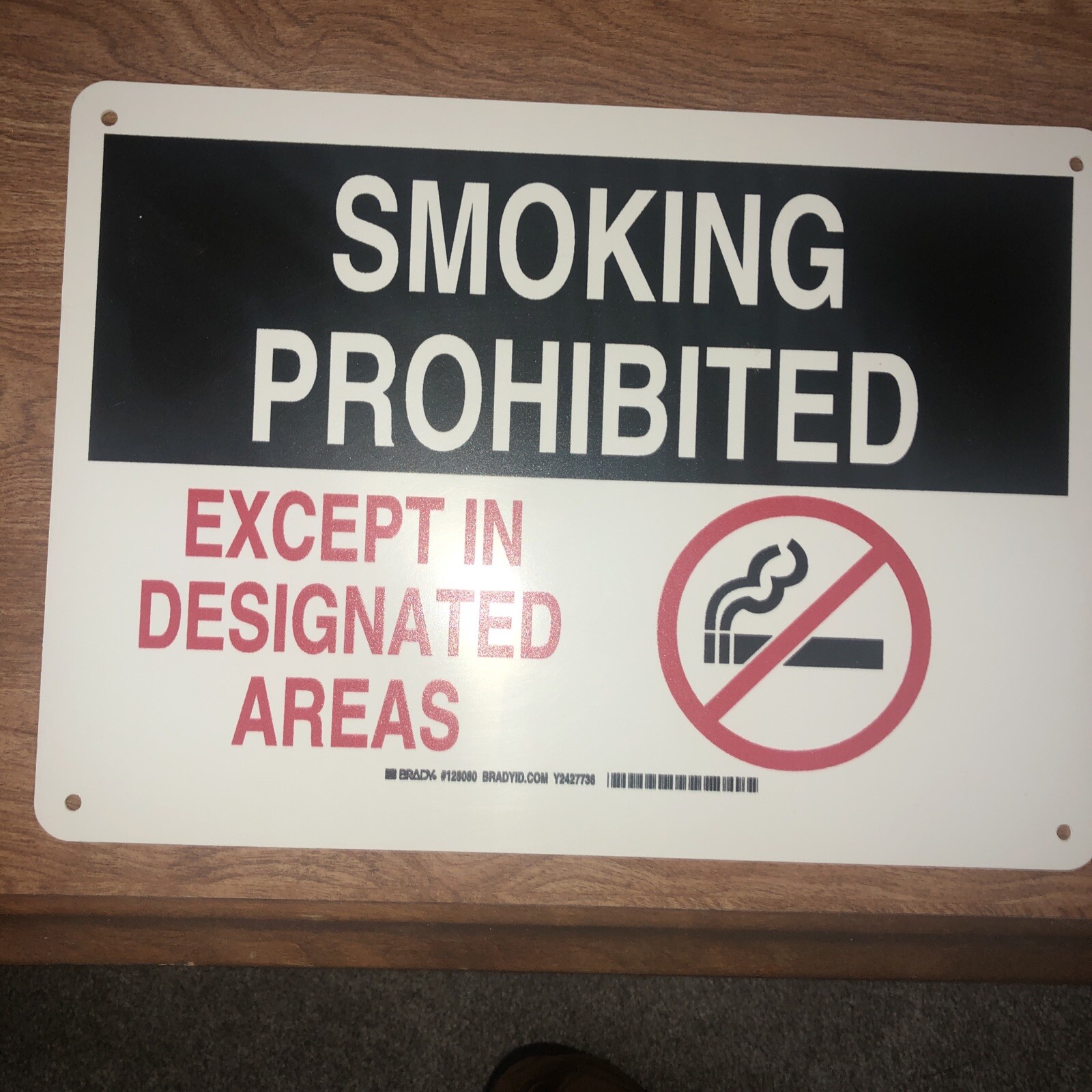 Plastic Smoking Prohibited Sign