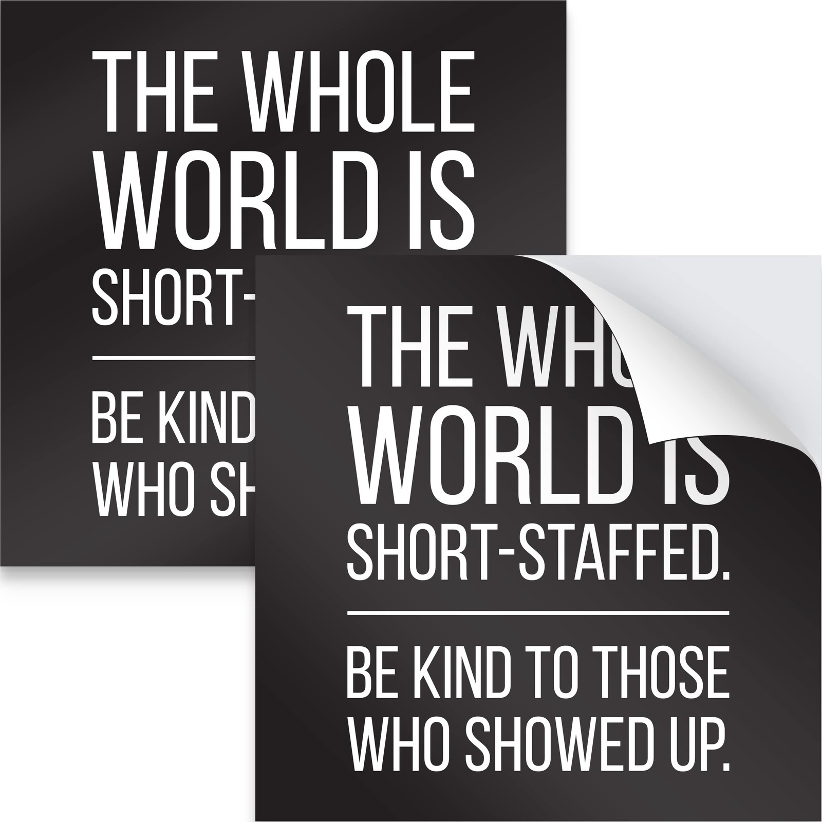 Professional 4″ x The Whole World is Short 4 inch x 4 inch, Black, White