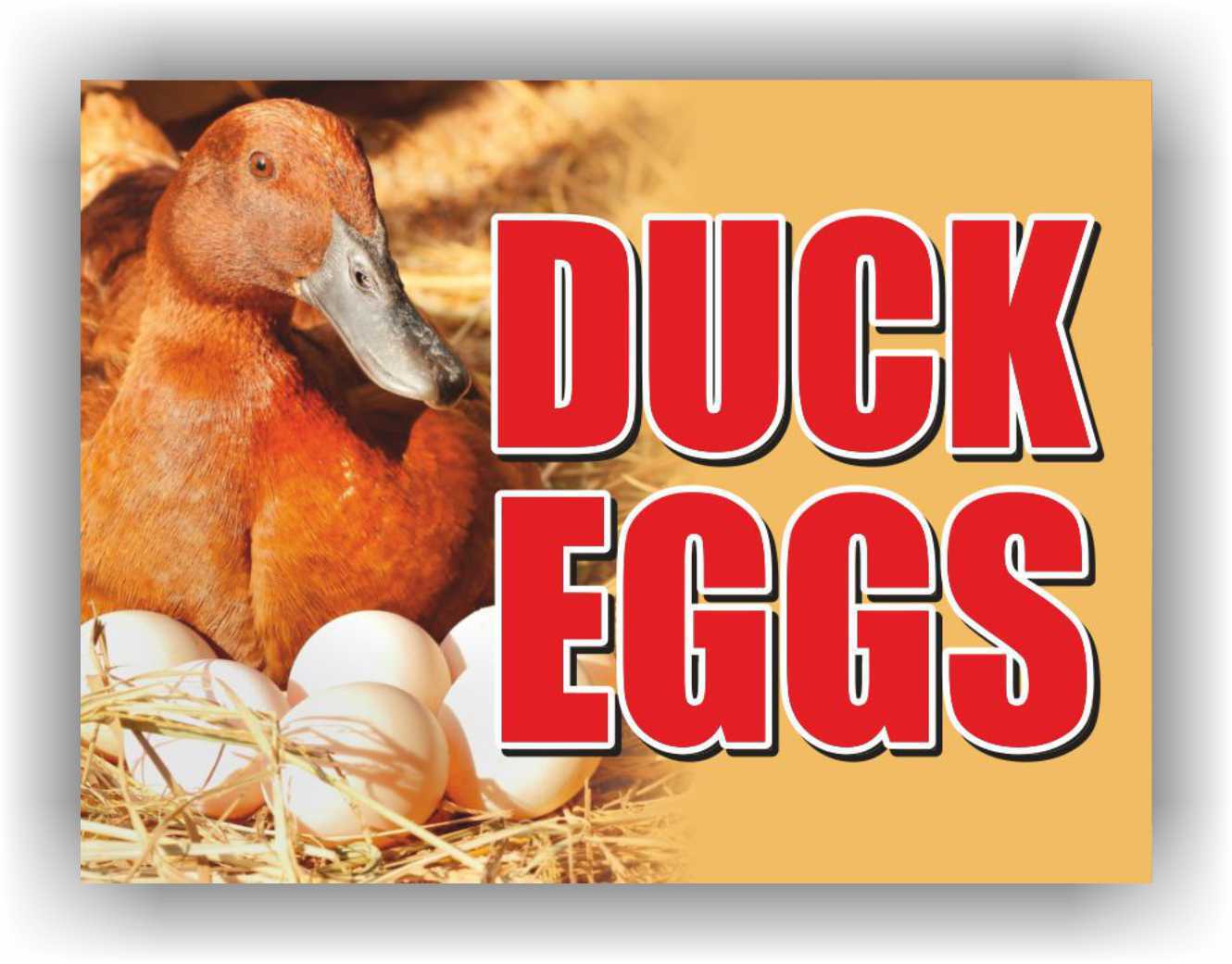 DUCK EGGS Yard Sign Corrugate Plastic with H-Stakes Lawn, Organic farmer fresh