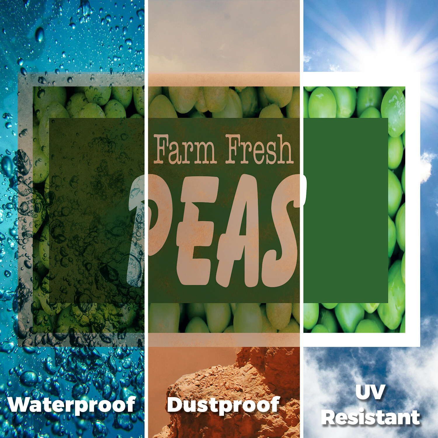 Farm Fresh Peas Yard Sign Fresh Vegetables, Healthy Snacks, Farmer�s Promotions