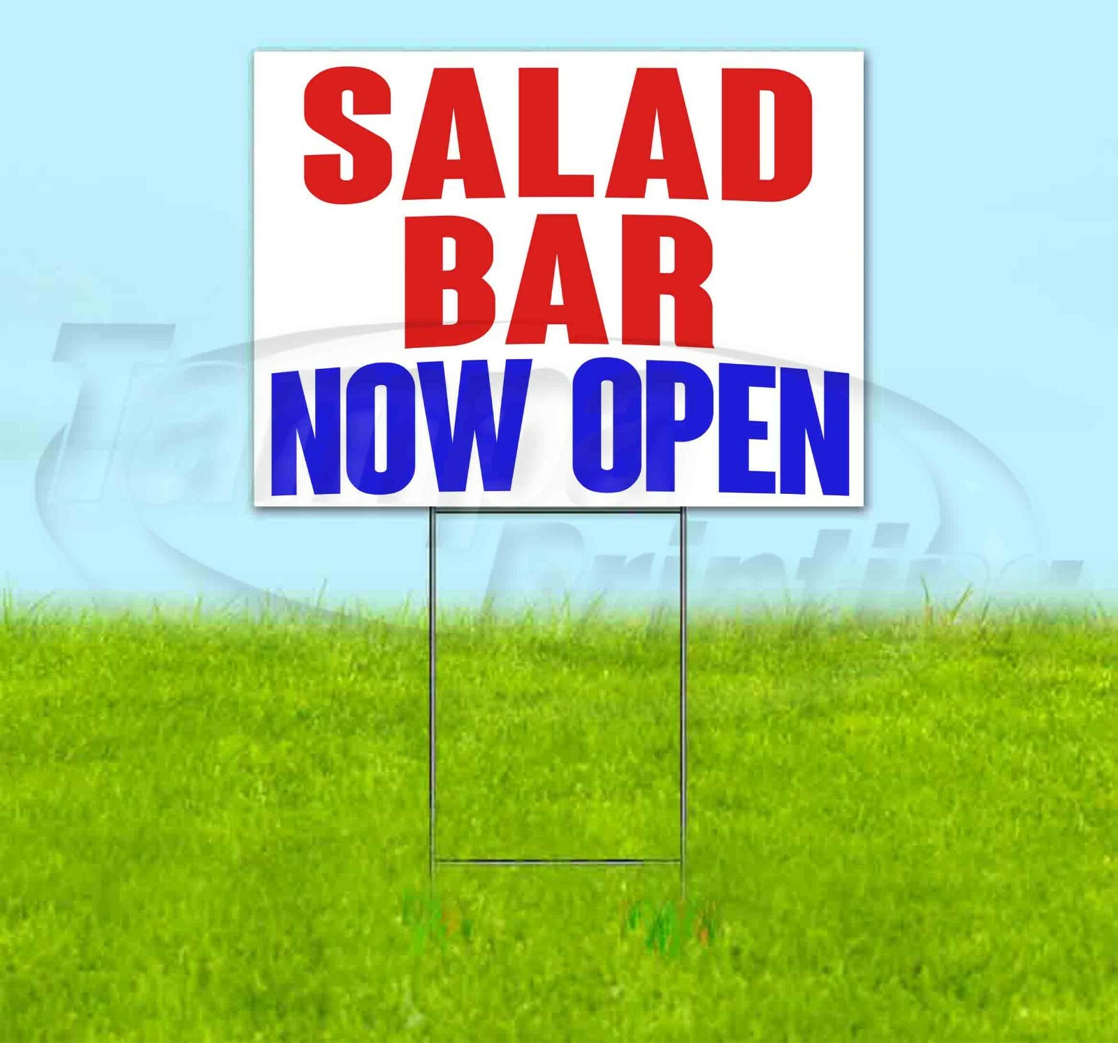 SALAD BAR NOW OPEN Yard Sign Corrugated Plastic Bandit Lawn Decorations USA