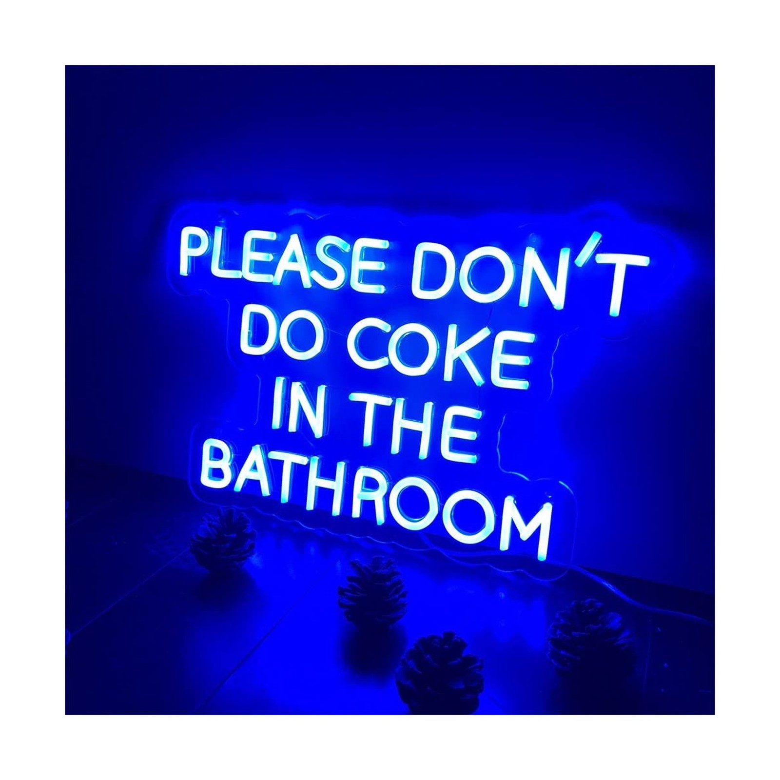 Neon Sign Please Dont Do Coke in The Bathroom-LED Adjustable Brightness Flex …