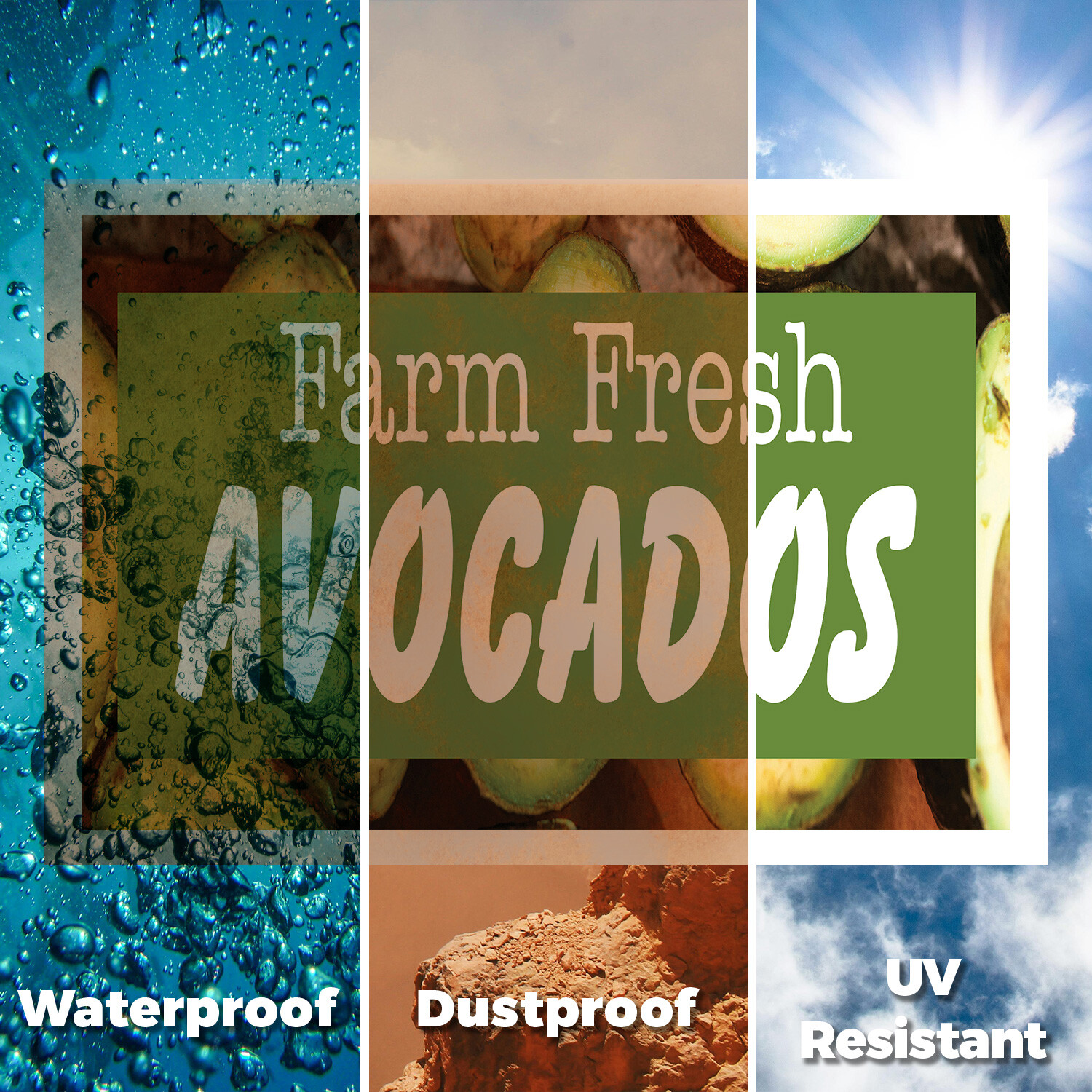 Farm Fresh Avocados Yard Sign Tropical Fruits, Fresh Produce, Farmer�s Markets