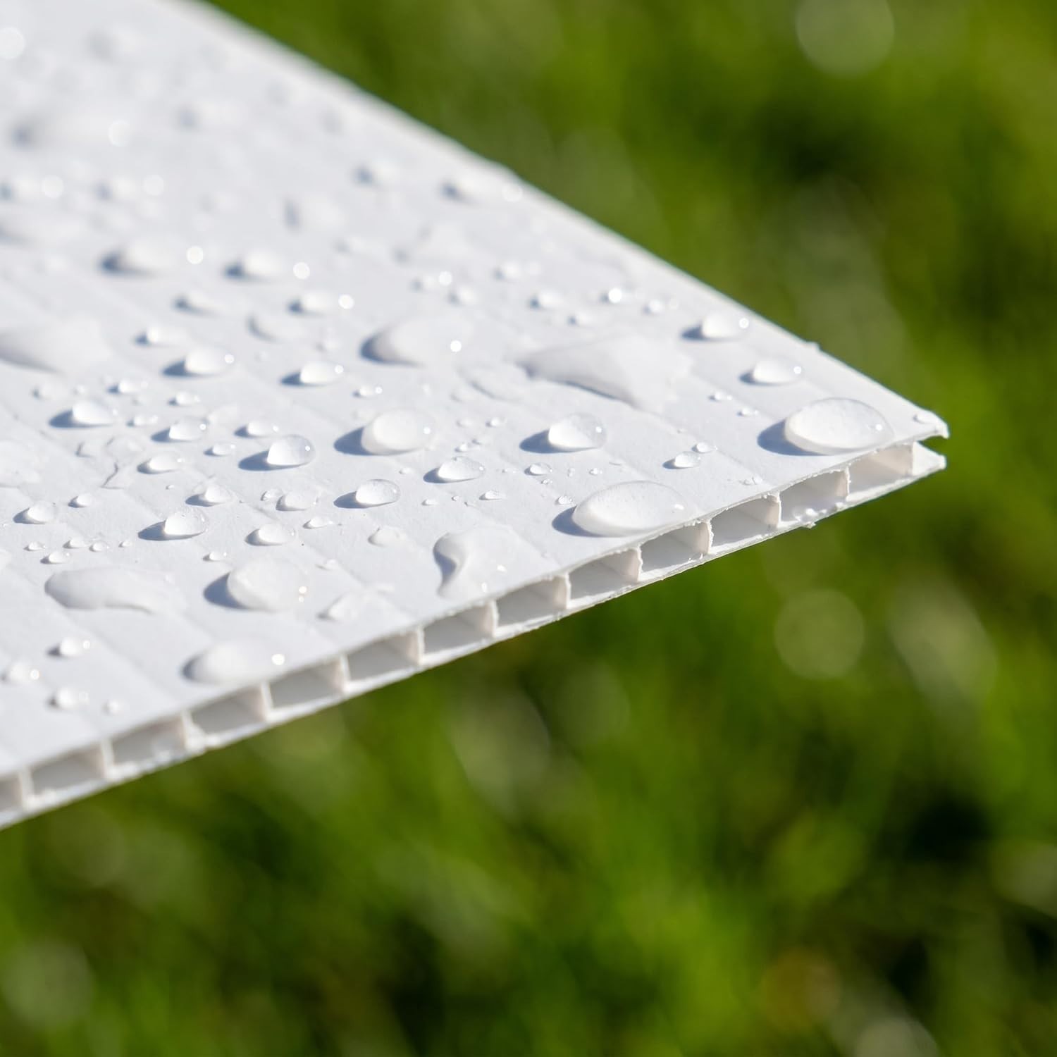 Weather-Resistant Poster Board Pack – 10 Signs
