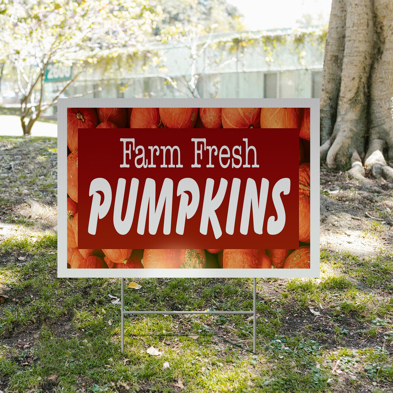 Farm Fresh Pumpkins Yard Sign Seasonal Favorites, Local Farms, Freshly Picked