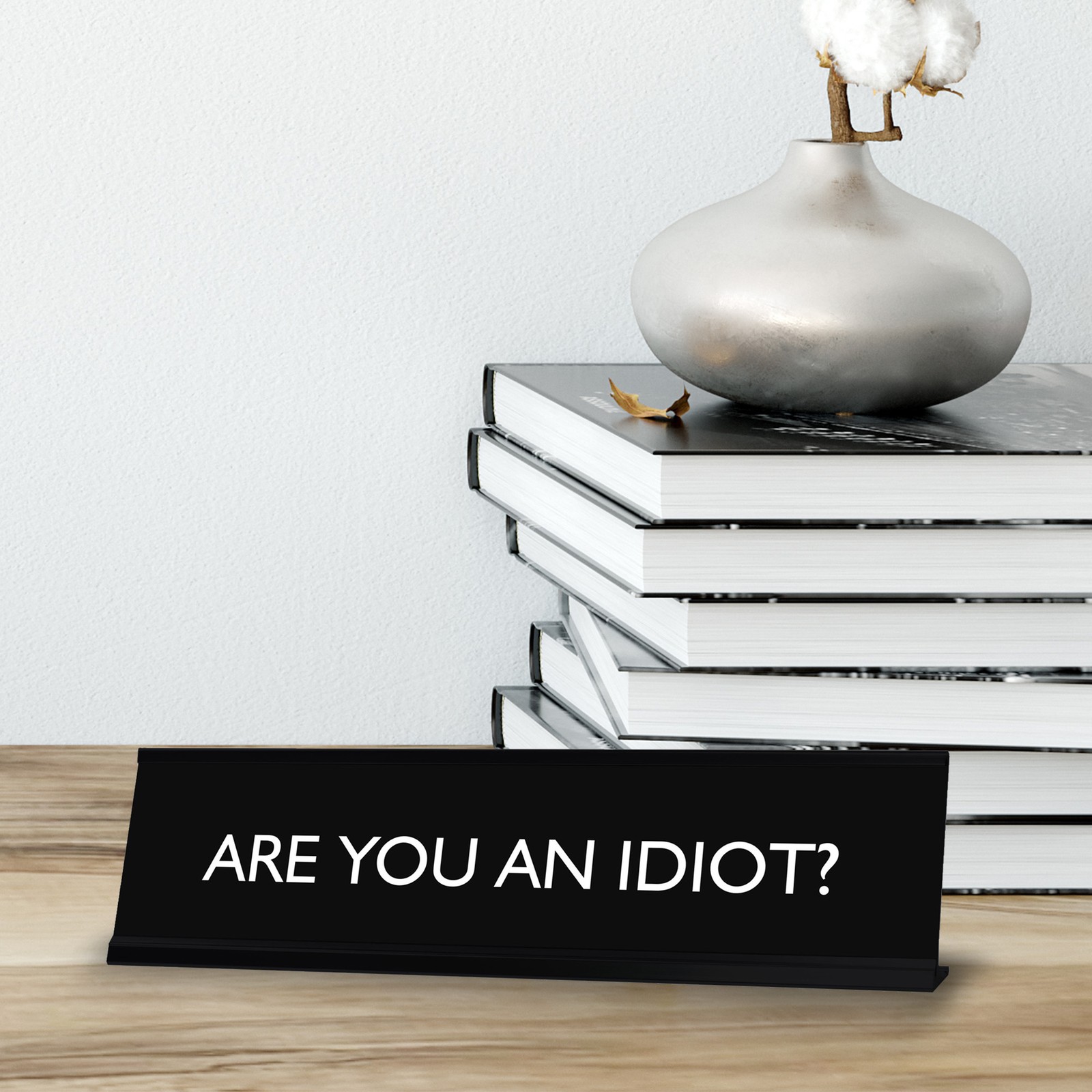 Signs By LITA ARE YOU AN IDIOT? Novelty Desk Sign
