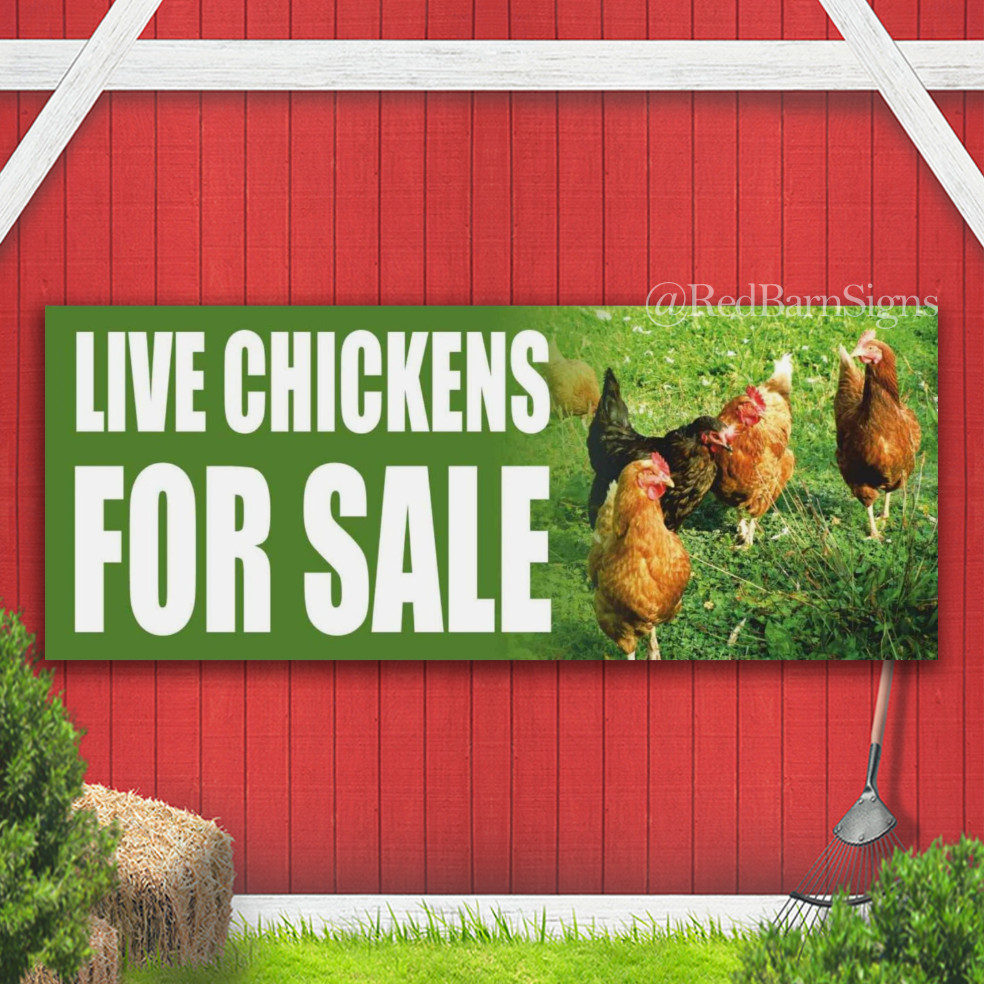LIVE CHICKENS FOR SALE Farmers Eggs Farm Indoor Outdoor Banner Sign with grommet