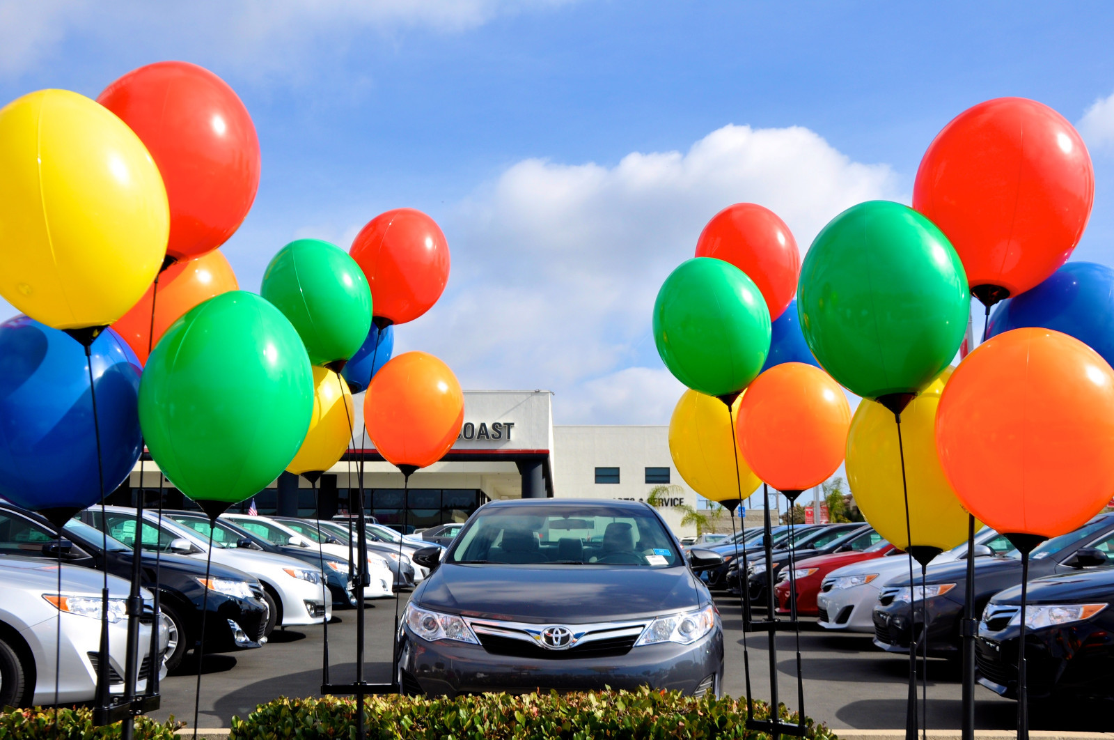 Reusable Balloon Display Kit Poles, Ground Spike and 5 Balloons Included