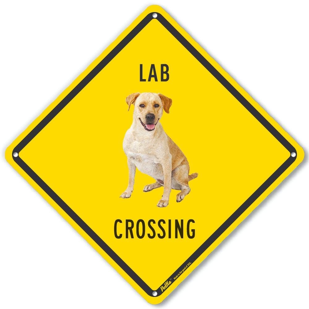 10×10 Inch Lab Crossing Yellow Back Aluminum Sign PKAC0577NA 0.06 Inch Thick