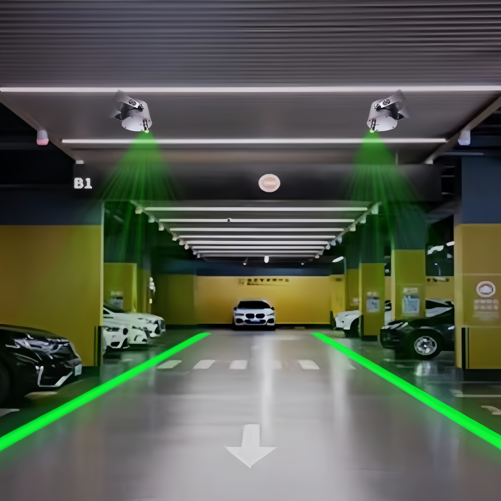 Green Industrial Line-Laser Light with Safety Warning Signs for Factory Workshop